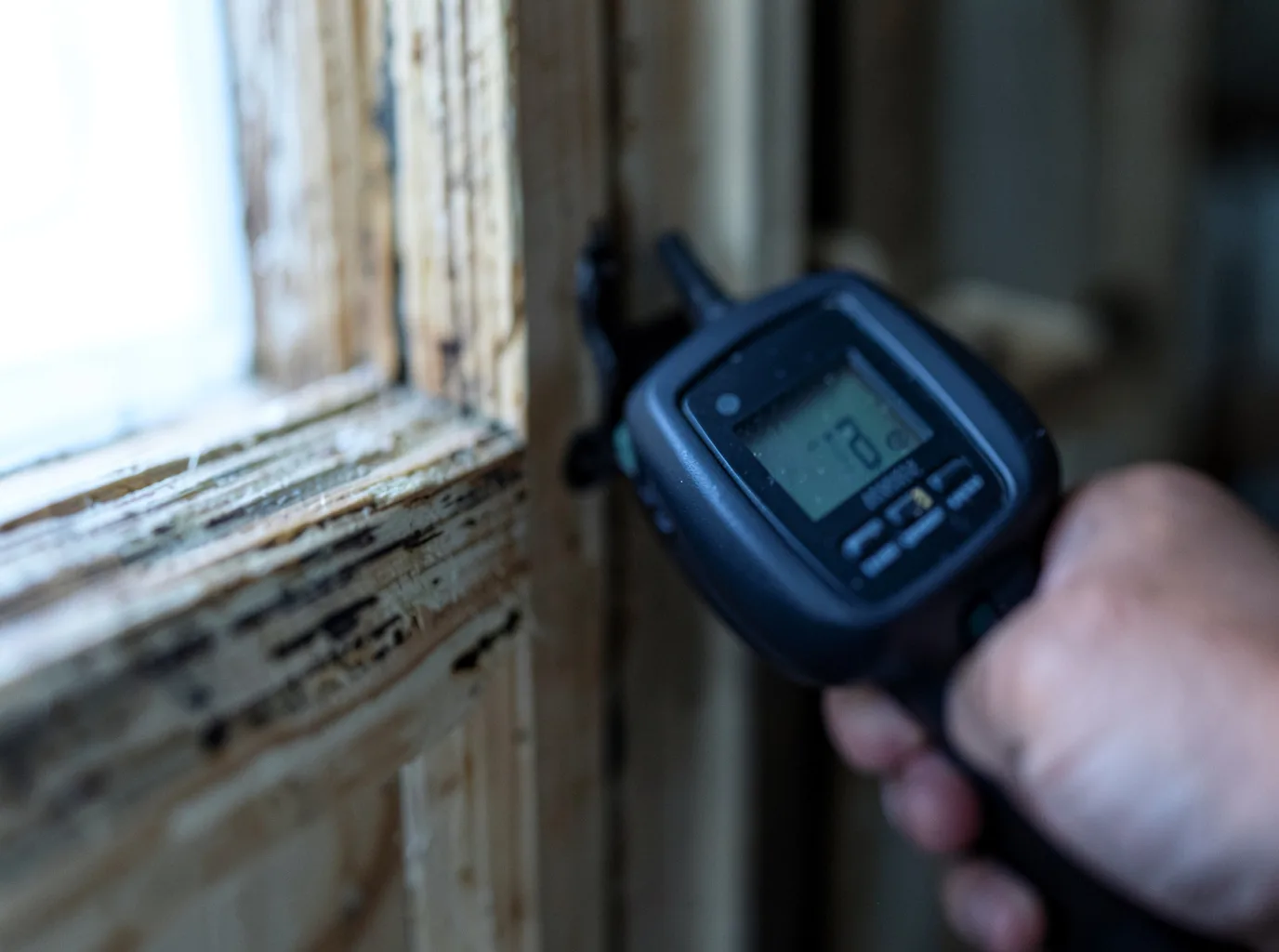 Moisture Inspection And Documentation in Enterprise, WV